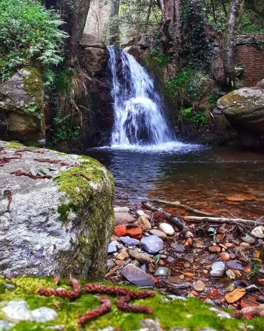 ButiUno Spazio Di Relax In Toscana公寓 外观 照片